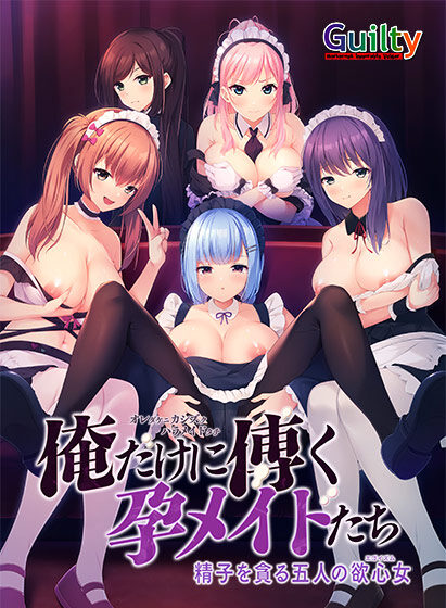 俺だけに傅く孕メイドたち レビュー
