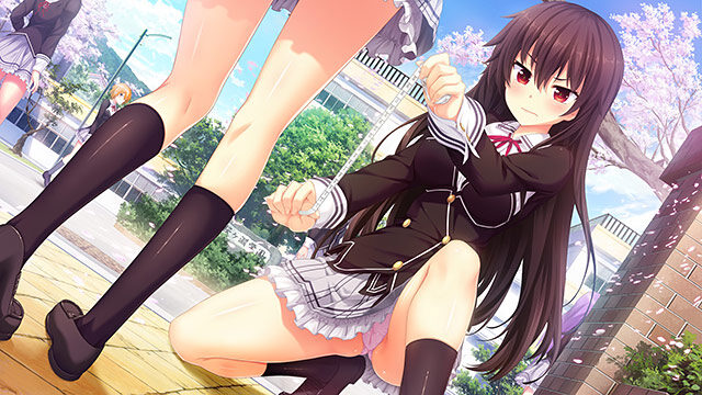ノラと皇女と野良猫ハート1＋2パック レビュー