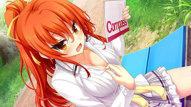 ノラと皇女と野良猫ハート1＋2パック レビュー