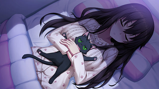 ノラと皇女と野良猫ハート1＋2パック レビュー
