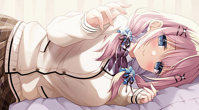 妹（姉）は兄（弟）の性癖を歪ませたい！レビュー