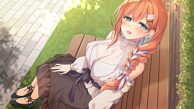 妹（姉）は兄（弟）の性癖を歪ませたい！レビュー