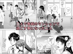 春くらべ6の魅力とエロティックなシーン