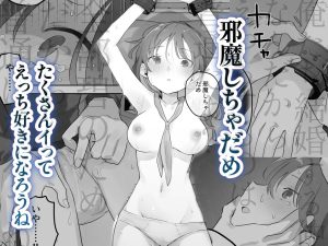 「えっちなことは嫌いなはずなのに」の魅力と見どころ