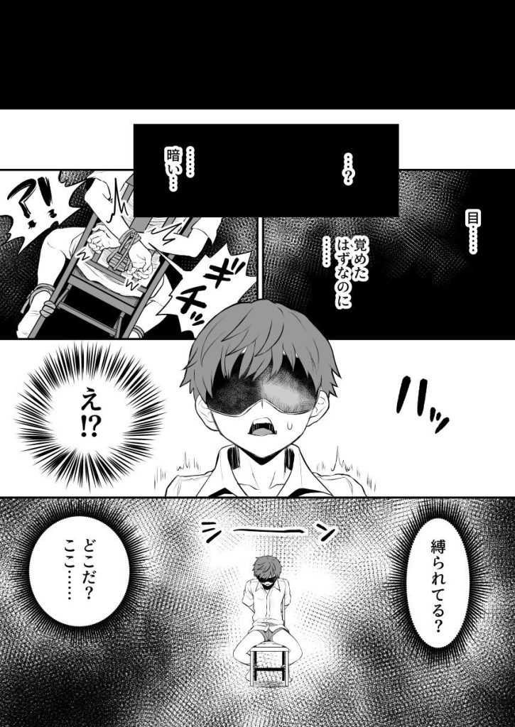 悪い人に捕まってしまった レビュー