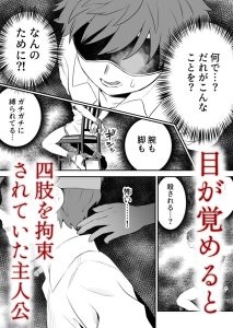 悪い人に捕まってしまった レビュー