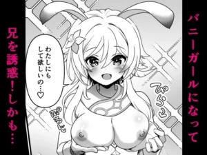 夢果てのピルグリムの魅力と見どころ