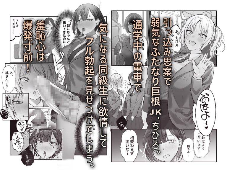 ふたなりちんぽ見られたらセフレができたの魅力