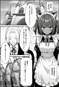 悪政を敷くワガママ王女の見えないドレス物語
