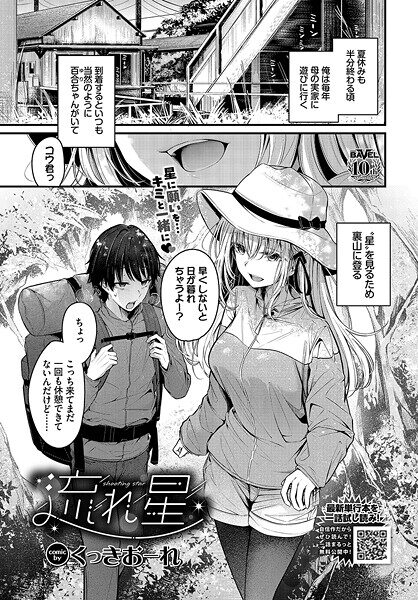 流れ星（単話）レビュー：激しい情熱と官能の一夜