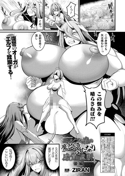 エルフの森の魔改造 ふたなり感覚遮断 レビュー